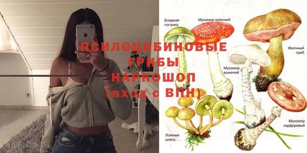 Альфа ПВП Алексеевка