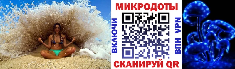 Галлюциногенные грибы Cubensis Купить закладки Суворов