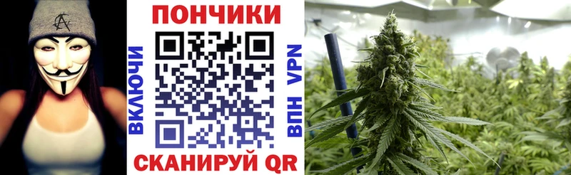МАРИХУАНА Bruce Banner  Купить где  Суворов 